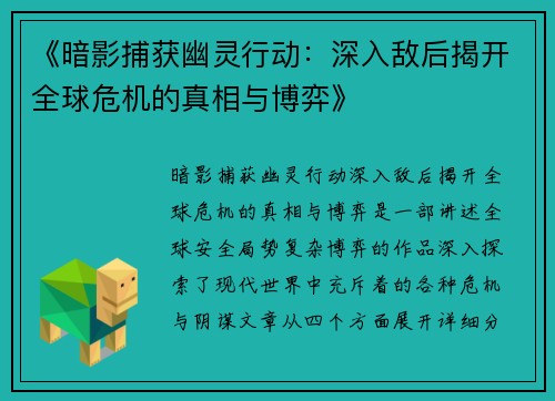 《暗影捕获幽灵行动：深入敌后揭开全球危机的真相与博弈》